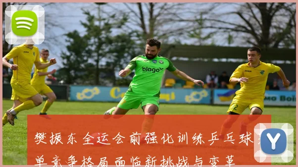 樊振东全运会前强化训练乒乓球男单竞争格局面临新挑战与变革
